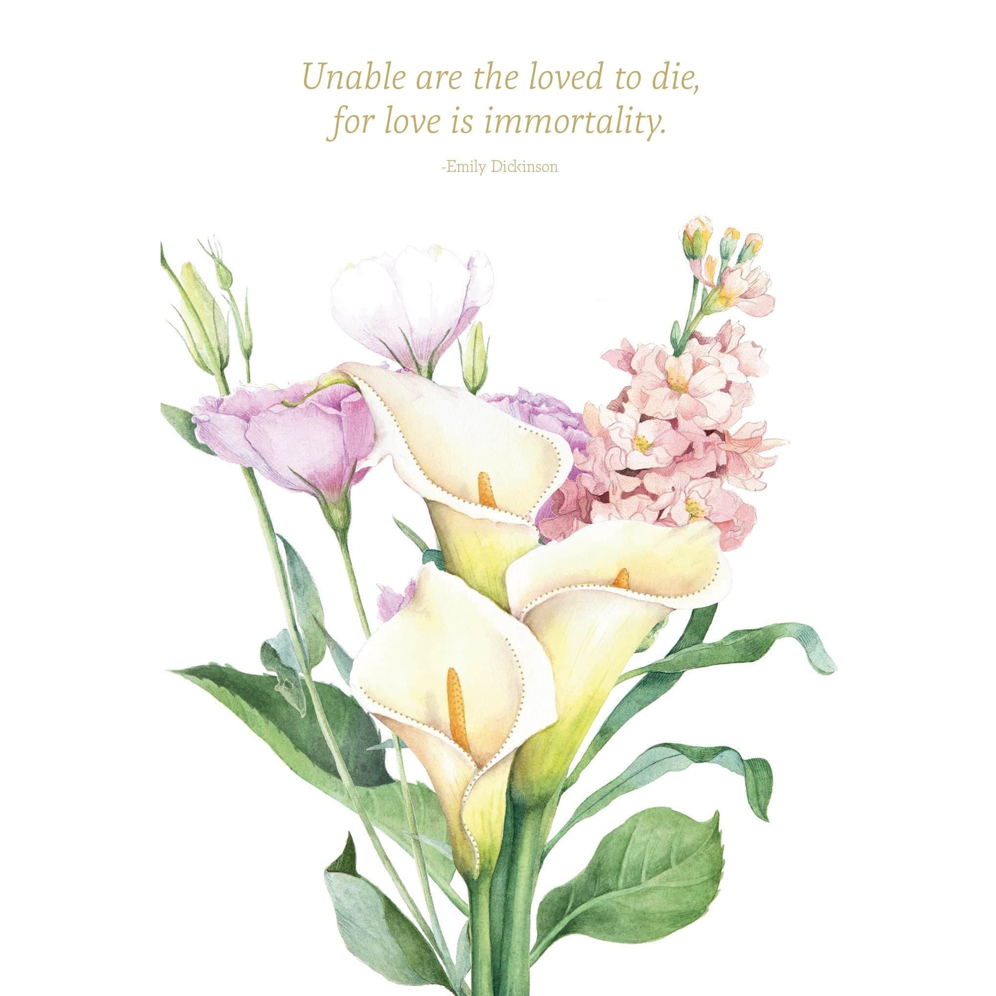 Calla lilies sympathy card from Cardmore, featuring elegant white calla lily illustrations for heartfelt condolences.